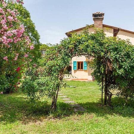 Podere L'Ulivo ซานมีเนียโต ภายนอก รูปภาพ