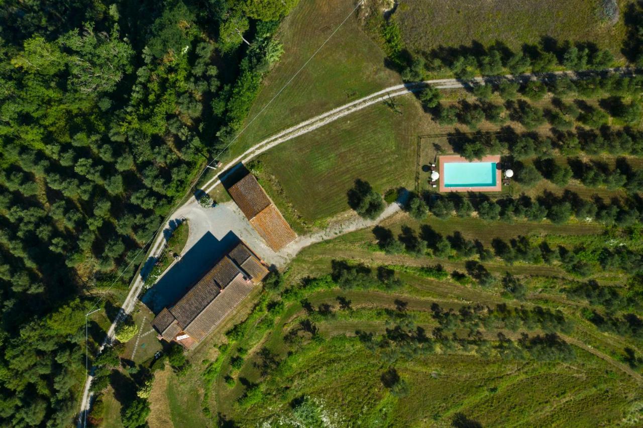 Podere L'Ulivo ซานมีเนียโต ภายนอก รูปภาพ