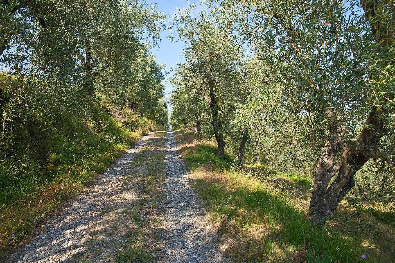 Podere L'Ulivo ซานมีเนียโต ภายนอก รูปภาพ