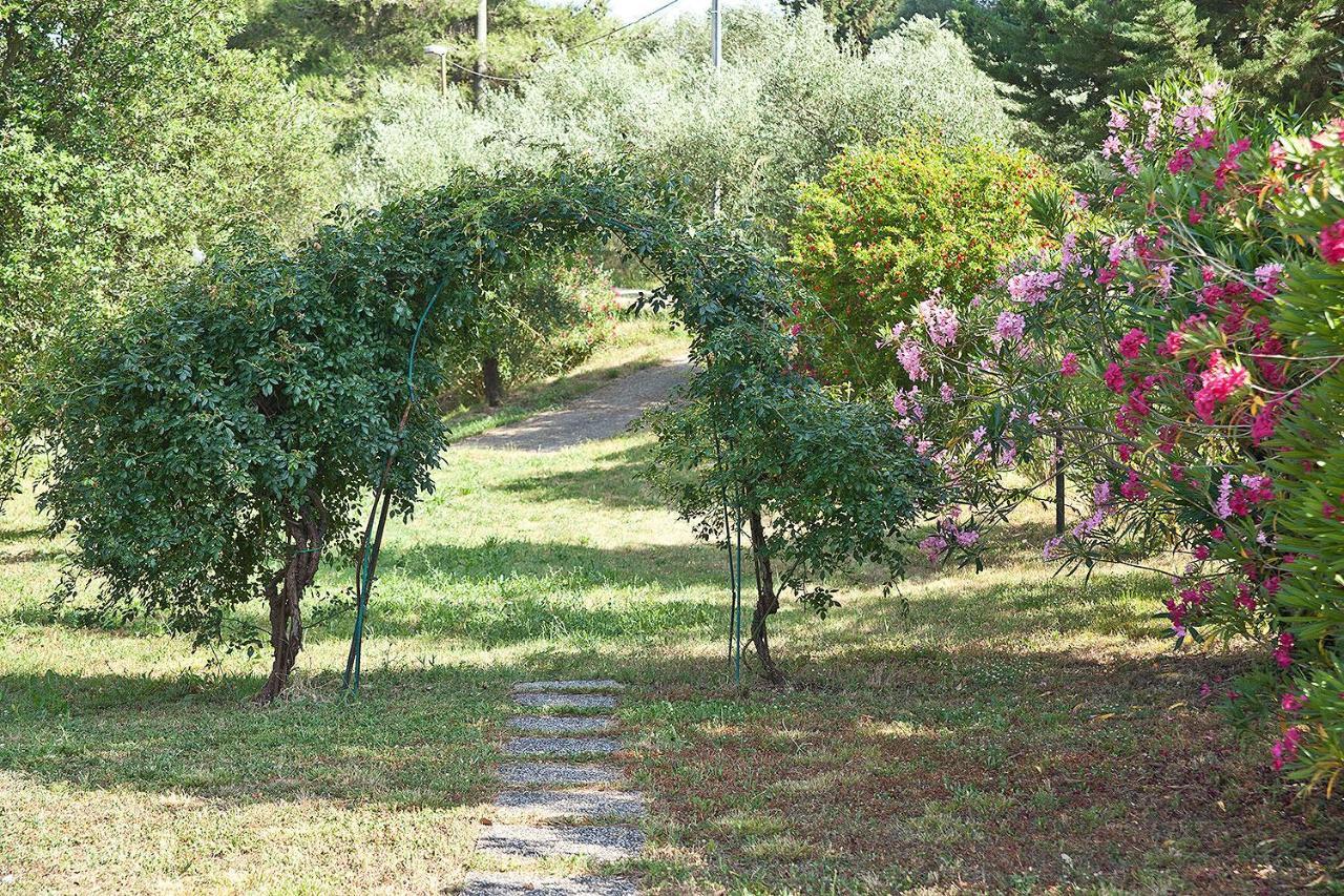 Podere L'Ulivo ซานมีเนียโต ภายนอก รูปภาพ