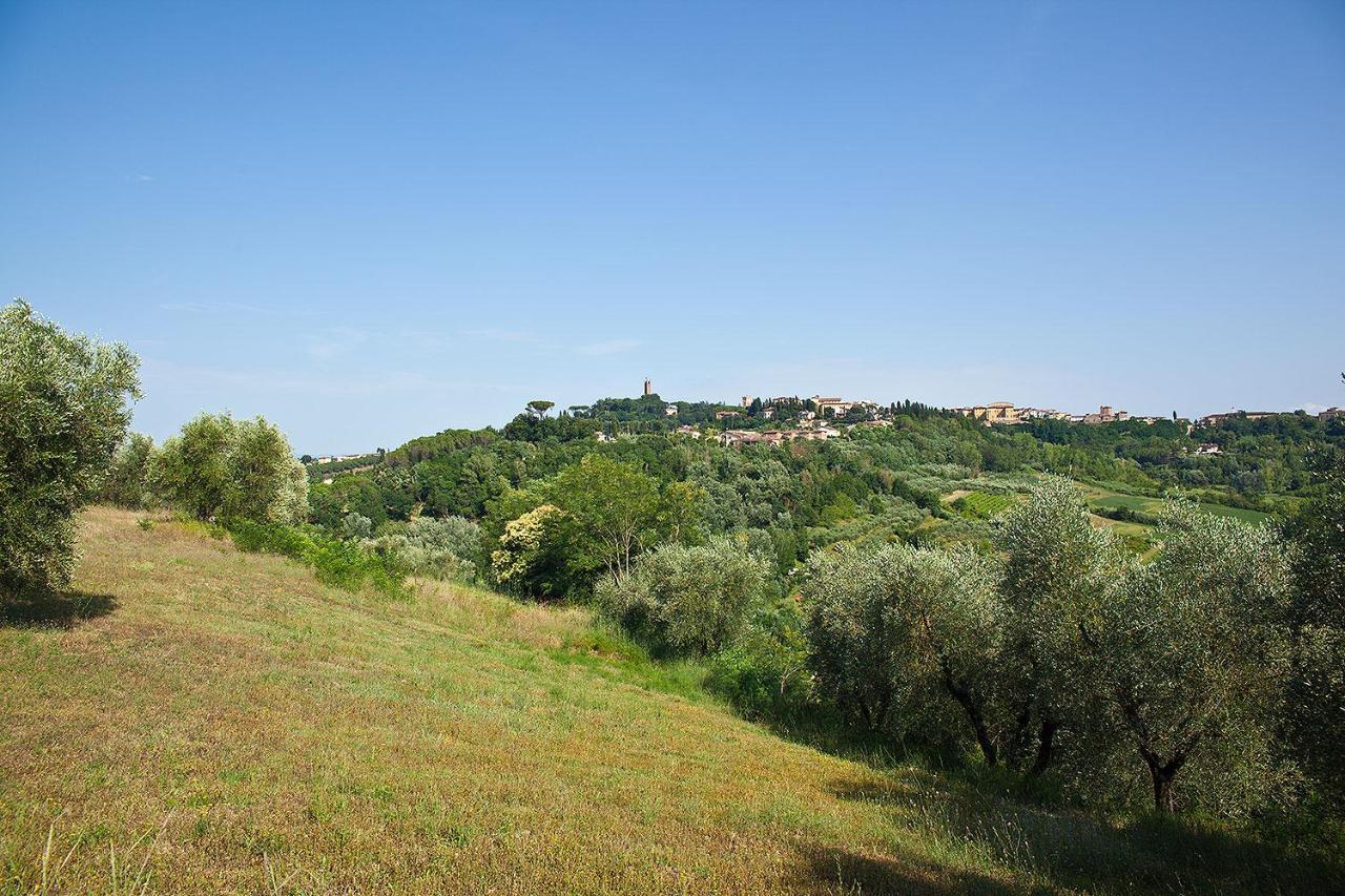 Podere L'Ulivo ซานมีเนียโต ภายนอก รูปภาพ