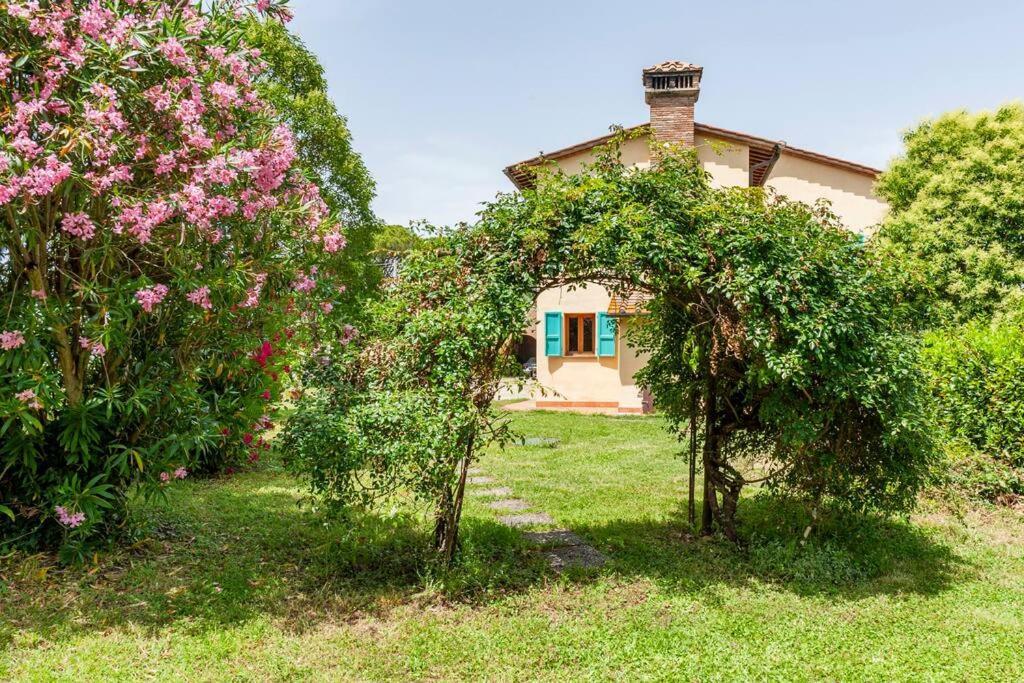 Podere L'Ulivo ซานมีเนียโต ภายนอก รูปภาพ