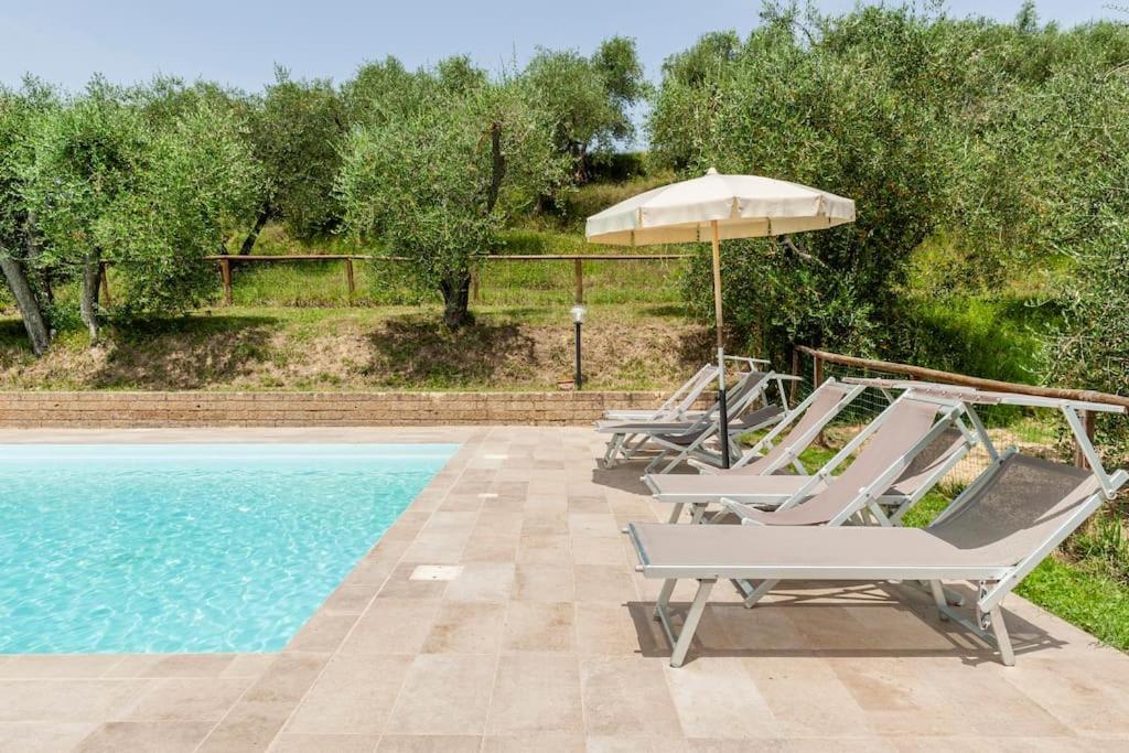 Podere L'Ulivo ซานมีเนียโต ภายนอก รูปภาพ