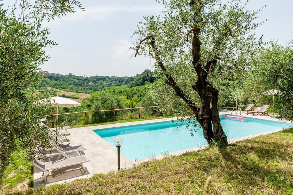 Podere L'Ulivo ซานมีเนียโต ภายนอก รูปภาพ